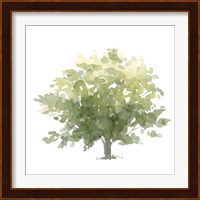 Lonely Oak I Fine Art Print