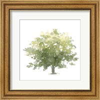 Lonely Oak I Fine Art Print