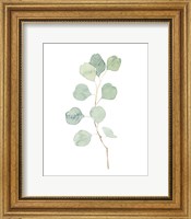 Soft Eucalyptus Branch IV Fine Art Print