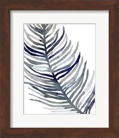 Blue Feathered Palm I Fine Art Print