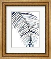 Blue Feathered Palm II Fine Art Print