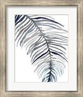 Blue Feathered Palm II Fine Art Print