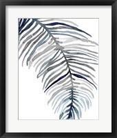 Blue Feathered Palm II Framed Print