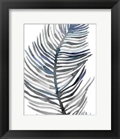 Blue Feathered Palm III Fine Art Print