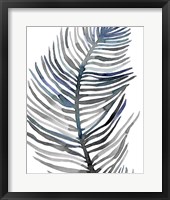 Blue Feathered Palm III Framed Print