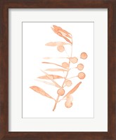 Blush Olive Branch III Fine Art Print
