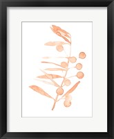 Blush Olive Branch III Fine Art Print