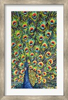 Lavish Peacock I Fine Art Print