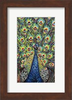 Lavish Peacock II Fine Art Print