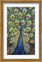 Lavish Peacock II Fine Art Print
