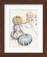 Harvest Pumpkins II Fine Art Print