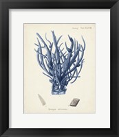 Antique Coral in Navy V Fine Art Print