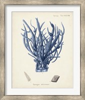 Antique Coral in Navy V Fine Art Print