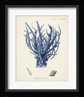 Antique Coral in Navy V Framed Print