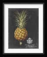 Royal Brookshaw Pineapple II Fine Art Print