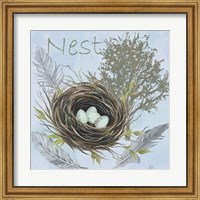 Nesting Collection I Fine Art Print