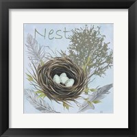 Nesting Collection I Framed Print