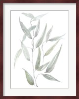 Ethereal Eucalyptus I Fine Art Print