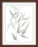 Ethereal Eucalyptus I Fine Art Print