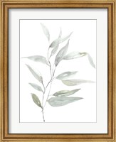 Ethereal Eucalyptus II Fine Art Print