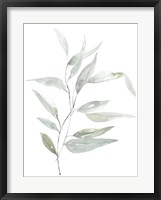Ethereal Eucalyptus II Fine Art Print