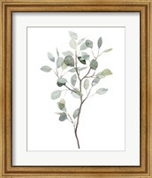 Seaglass Eucalyptus I Fine Art Print