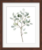 Seaglass Eucalyptus II Fine Art Print