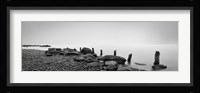 Black & White Water Panel I Fine Art Print
