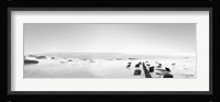 Black & White Water Panel III Fine Art Print