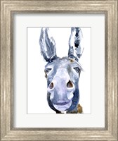 Sweet Donkey I Fine Art Print