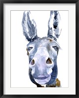 Sweet Donkey I Fine Art Print