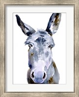 Sweet Donkey II Fine Art Print