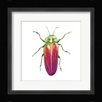 Buggin Out II Fine Art Print