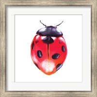 Buggin Out IV Fine Art Print