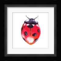 Buggin Out IV Fine Art Print