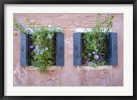 Italian Window Flowers II Fine Art Print