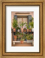 Italian Window Flowers III Fine Art Print