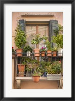 Italian Window Flowers III Fine Art Print
