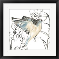 Songbird Meadow I Framed Print