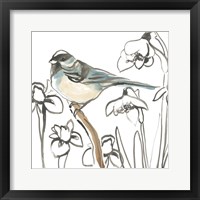 Songbird Meadow II Framed Print
