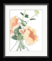 Soft Posy Sketch IV Fine Art Print