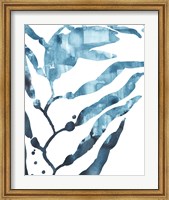 Inkwash Kelp I Fine Art Print