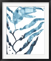 Inkwash Kelp I Fine Art Print