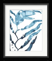 Inkwash Kelp I Framed Print