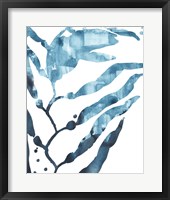 Inkwash Kelp I Framed Print