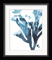 Inkwash Kelp II Framed Print