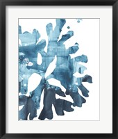 Inkwash Kelp III Framed Print