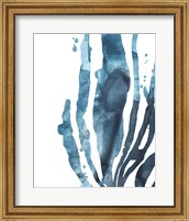 Inkwash Kelp IV Fine Art Print