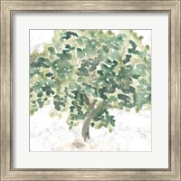 Country Tree II Fine Art Print