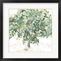 Country Tree II Fine Art Print